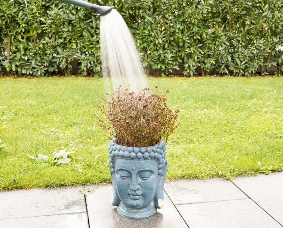 Bild zeigt Steine und darüberfließendes Wasser